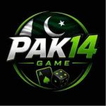 PAK14 GAME