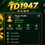 TD1947 Game