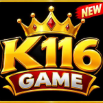 K116 Game